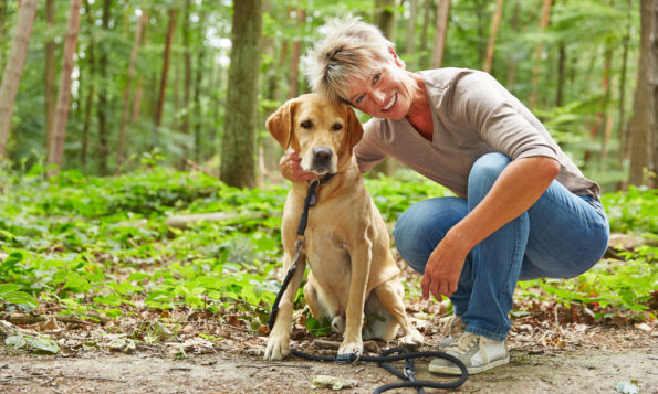 lady_dog_shutterstock_310590158-595x357-2